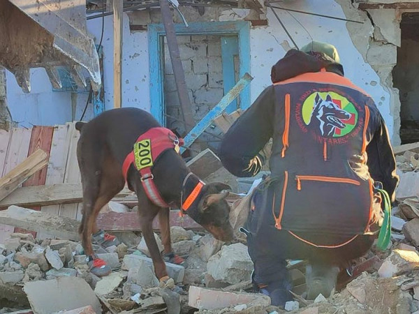 Про людяність: у Павлограді важкохвору собаку-рятувальницю адміністрація вигнала з парку