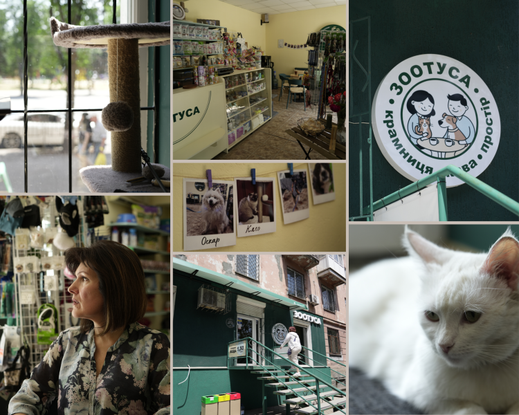 Рішення для безпритульних тварин на Донеччині та у Кривому Розі: волонтерські ініціативи, що дають шанс на життя під час війни
