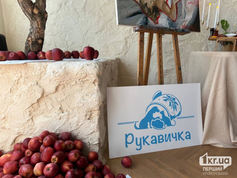 Рішення для безпритульних тварин на Донеччині та у Кривому Розі: волонтерські ініціативи, що дають шанс на життя під час війни