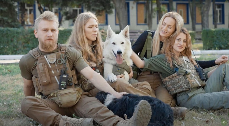 Рішення для безпритульних тварин на Донеччині та у Кривому Розі: волонтерські ініціативи, що дають шанс на життя під час війни