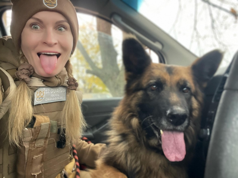 Рішення для безпритульних тварин на Донеччині та у Кривому Розі: волонтерські ініціативи, що дають шанс на життя під час війни