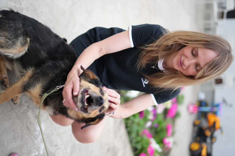 Рішення для безпритульних тварин на Донеччині та у Кривому Розі: волонтерські ініціативи, що дають шанс на життя під час війни