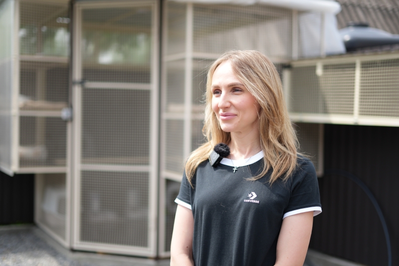 Рішення для безпритульних тварин на Донеччині та у Кривому Розі: волонтерські ініціативи, що дають шанс на життя під час війни