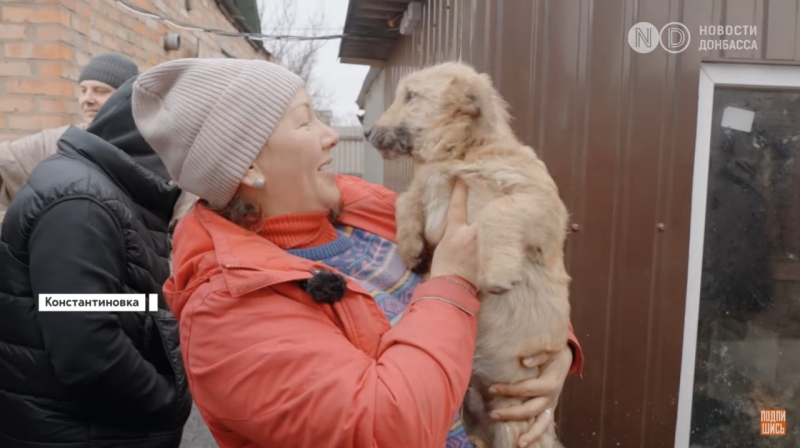 Рішення для безпритульних тварин на Донеччині та у Кривому Розі: волонтерські ініціативи, що дають шанс на життя під час війни