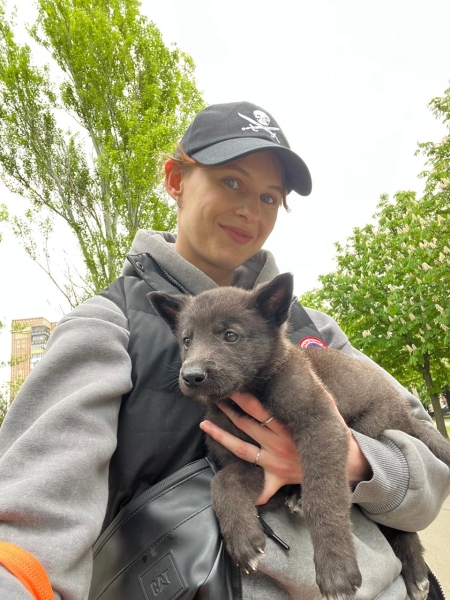 Рішення для безпритульних тварин на Донеччині та у Кривому Розі: волонтерські ініціативи, що дають шанс на життя під час війни