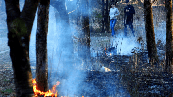 Самостійно спалювати суху траву категорично заборонено. Та головне, що й небезпечно цим займатися