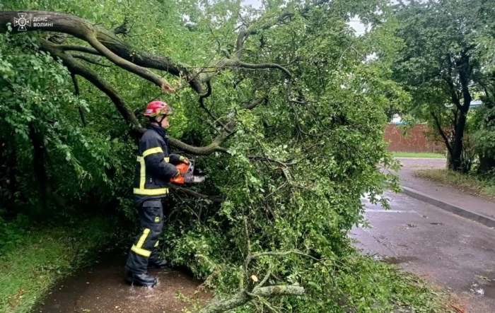 У Луцькій громаді рятувальники ліквідовували наслідки негоди