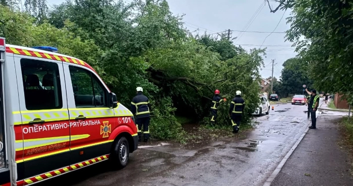 У Луцькій громаді рятувальники ліквідовували наслідки негоди
