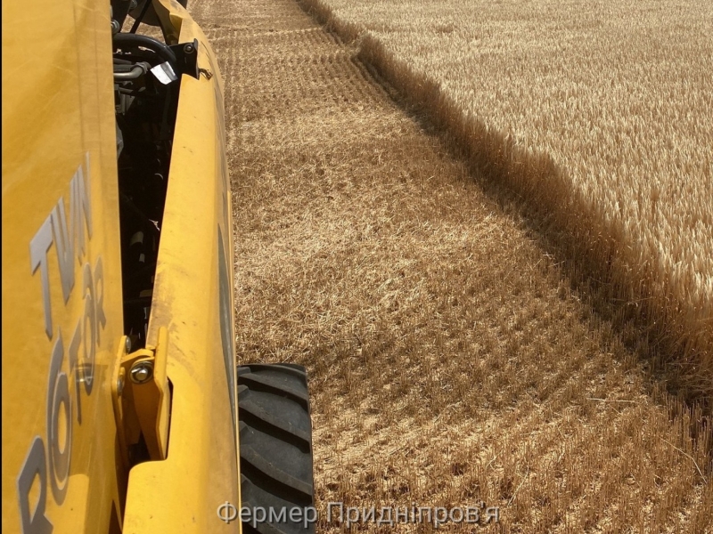 Знов починає працювати Роздорський елеватор