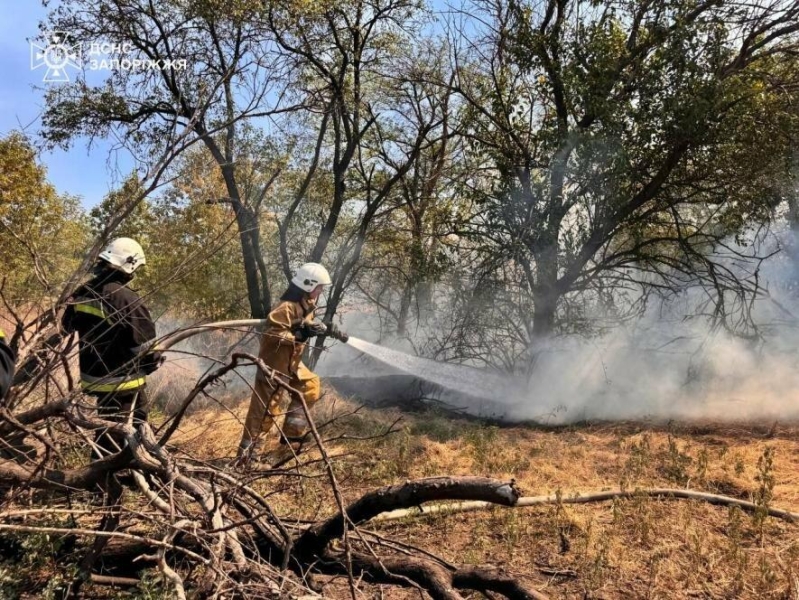 Пожежа на Хортиці: вогонь охопив близько 20 га