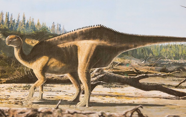 У Великій Британії відкрили новий вид динозавра з  парусом  на спині