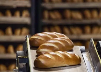 оборудование для хлебопекарен Porlanmaz