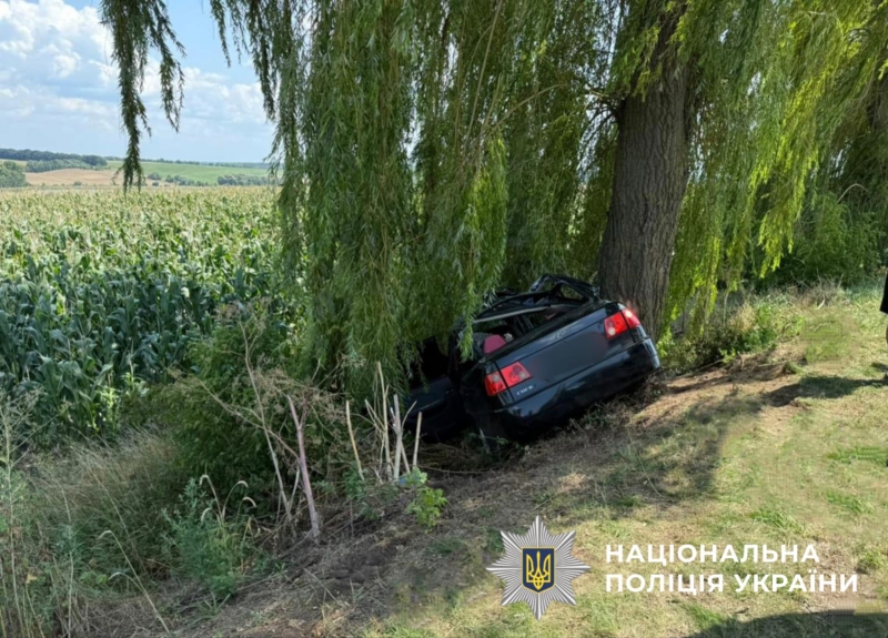 На Київщині сталась смертельна ДТП: загинула дитина