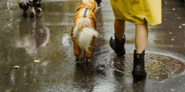 Подих осені в тандемі з грозами: погода на Франківщині зміниться