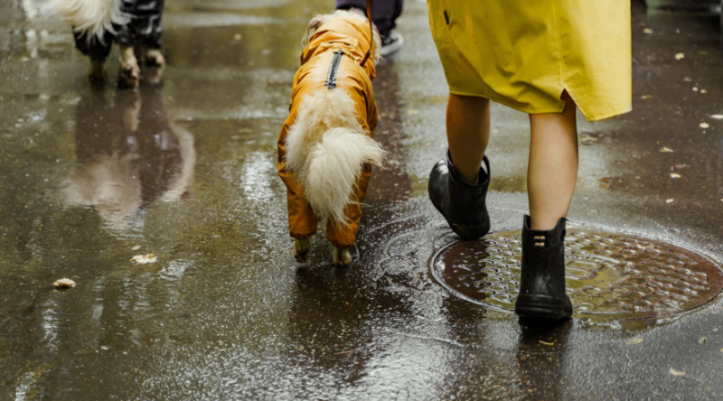 Подих осені в тандемі з грозами: погода на Франківщині зміниться