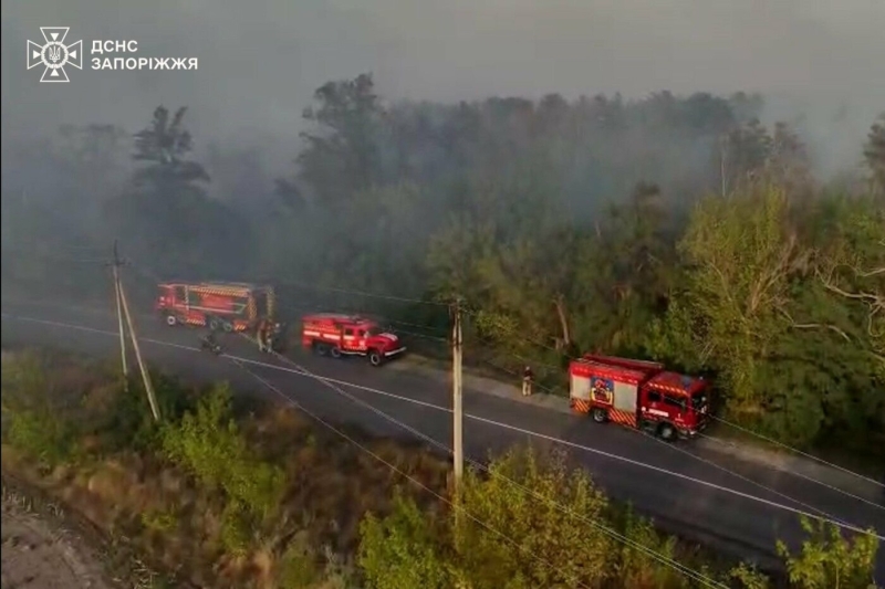 У Запорізькому районі сталася масштабна лісова пожежа: до гасіння залучили рятувальників з двох областей