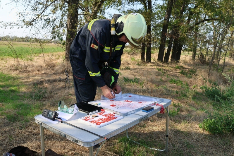 У Запорізькому районі сталася масштабна лісова пожежа: до гасіння залучили рятувальників з двох областей