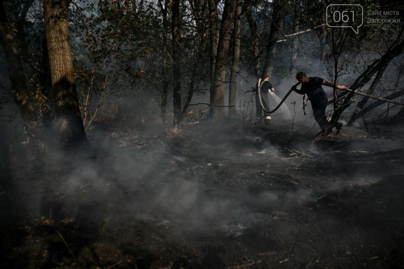 Вогонь охопив Хортицю: важка робота рятувальників в фотографіях