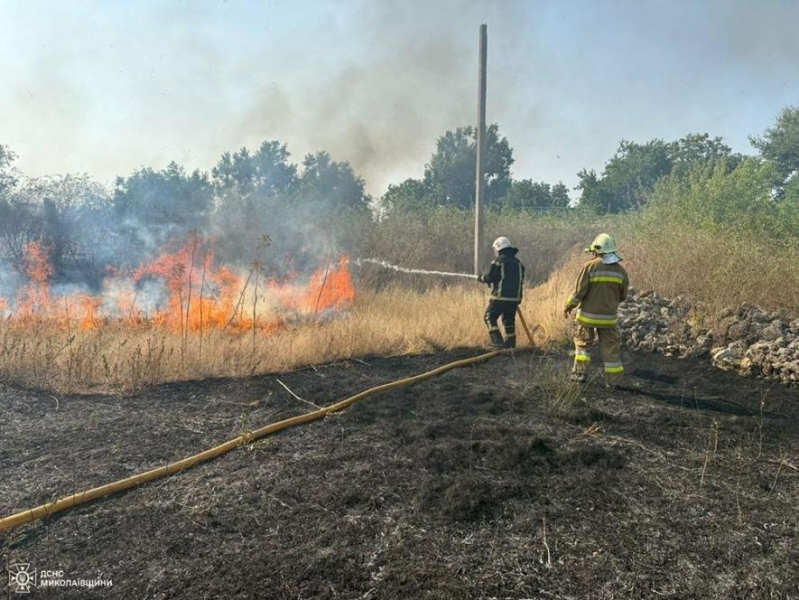 46 пожеж за добу: на Миколаївщині горіли будівлі, сухостій та балкон у багатоповерхівці, - ФОТО