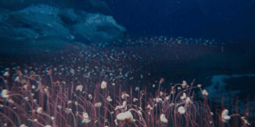 Вчені відкрили раніше невідому екосистему у Тихому океані