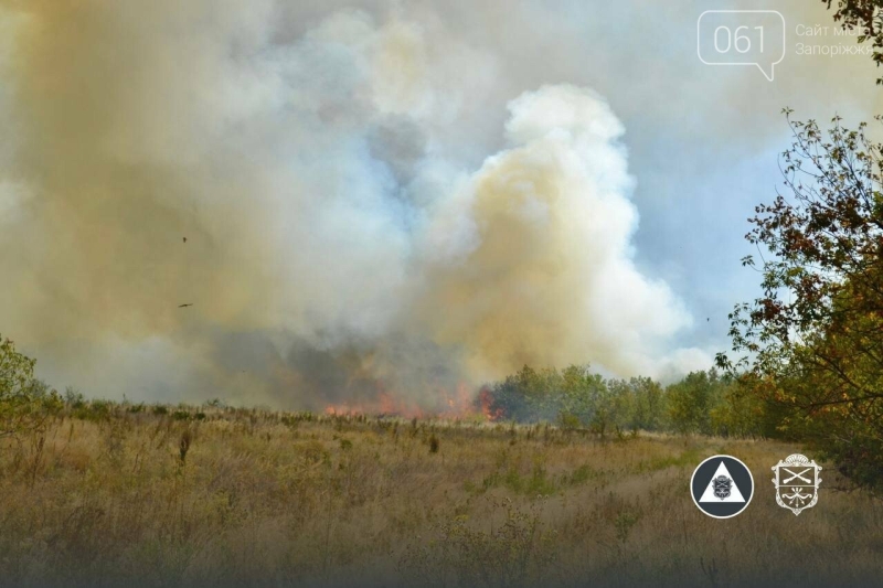 На Хортиці знову масштабна пожежа