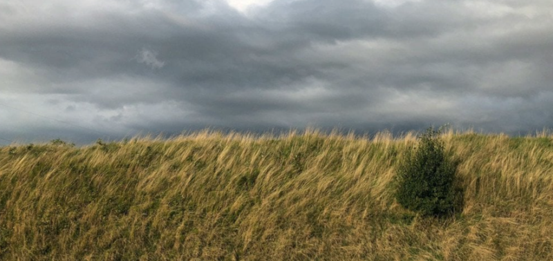 Стихія на порозі: синоптики попереджають про грози і шквали на Франківщині