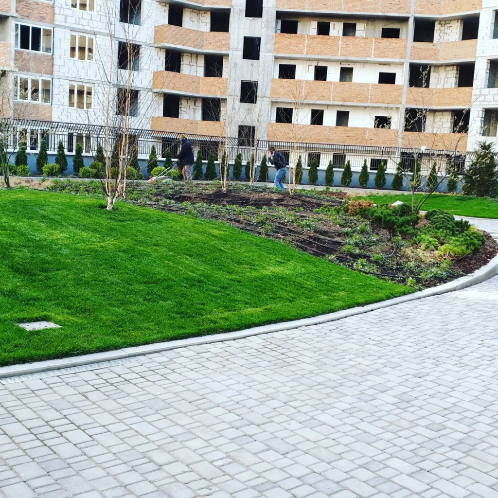 ландшафтні роботи Dendro Protect