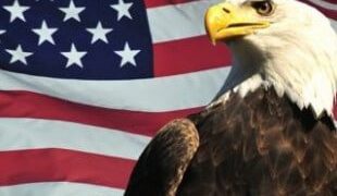 Експерти з нацбезпеки закликають адміністрацію Трампа обмежити продажі Nvidia H20 Китаю