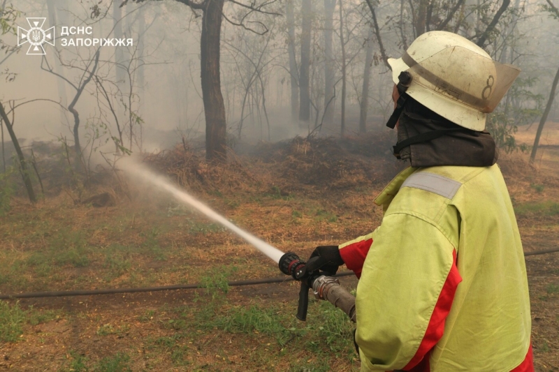 У Запорізькому районі сталася масштабна лісова пожежа: до гасіння залучили рятувальників з двох областей