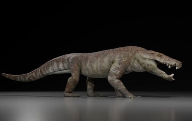 У Патагонії знайшли скам’янілі рештки крокодилоподібного хижака