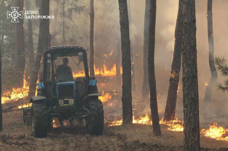 У Запорізькому районі сталася масштабна лісова пожежа: до гасіння залучили рятувальників з двох областей