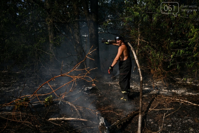 Вогонь охопив Хортицю: важка робота рятувальників в фотографіях
