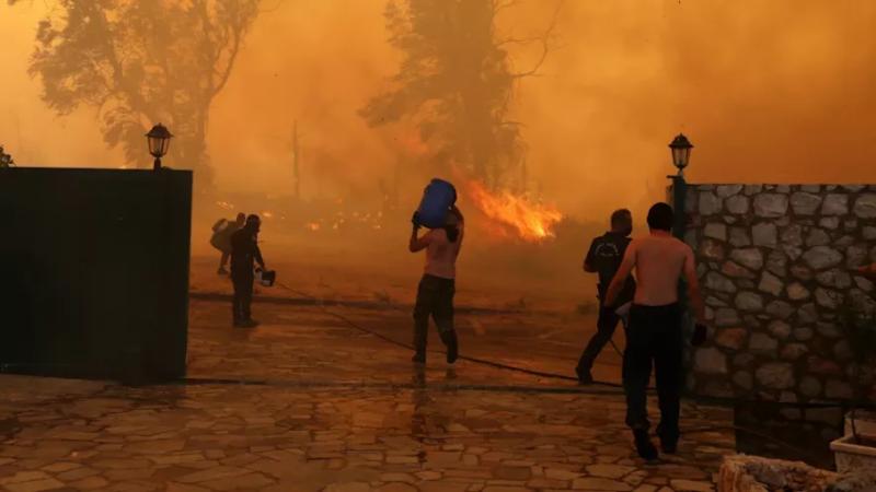 Рекорд Європи: у Туреччині вирують лісові пожежі через спеку у +50,5 градуса