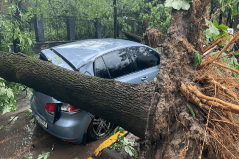 Дощ хлине відразу в 6-х областях прямо у День знань, жахлива гроза вдарить в Україні: чого чекати школярам 1 вересня?