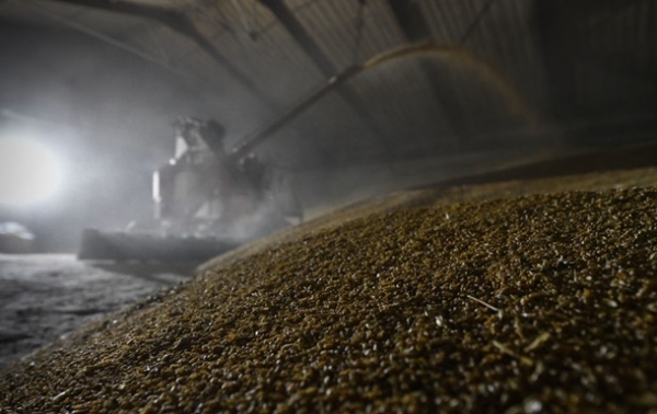 Росія втрачає позиції найбільшого агроекспортера - розвідка