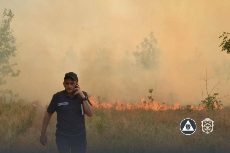 На Хортиці знову масштабна пожежа