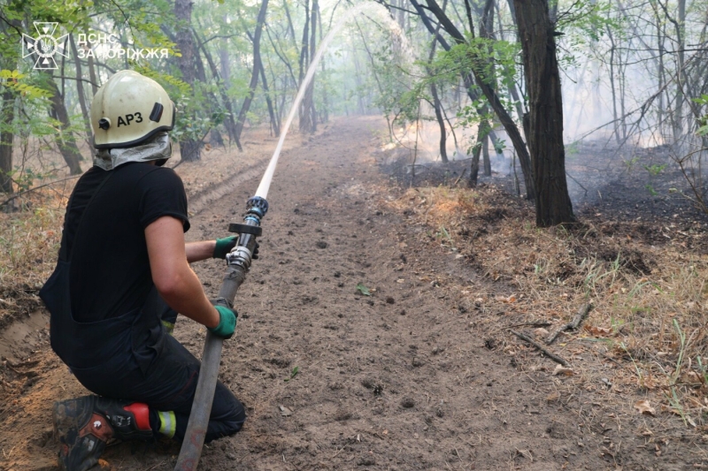 У Запорізькому районі сталася масштабна лісова пожежа: до гасіння залучили рятувальників з двох областей