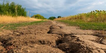 Континенти Землі висихають із безпрецедентною швидкістю – дослідження