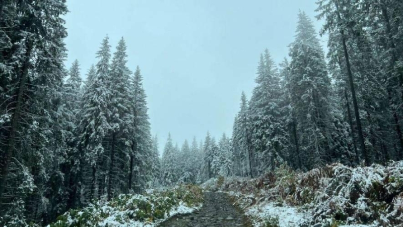 На Івано-Франківщині зафіксували найнижчі серпневі температури за десятиліття