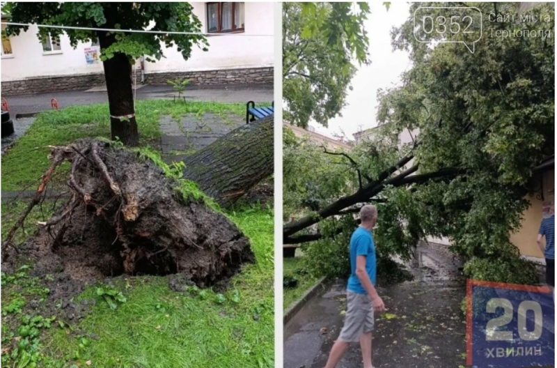 Дерево впало на лавки і людям у вікна, з автомобілів вода повідривала номерні знаки: збитки у Тернополі після зливи (ФОТО, ВІДЕО)