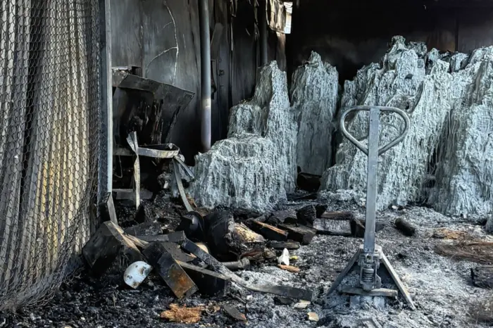 Дрон РФ знищив у Києві склад литовської організації допомоги Україні