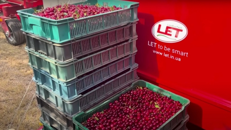 Комбайн для вишневого саду запрацював на Миколаївщині