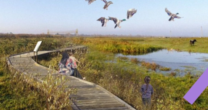 На березі Конопельки зароджується екопарк: у Підгайцях взялися за планування рекреаційної зони. ВІДЕО