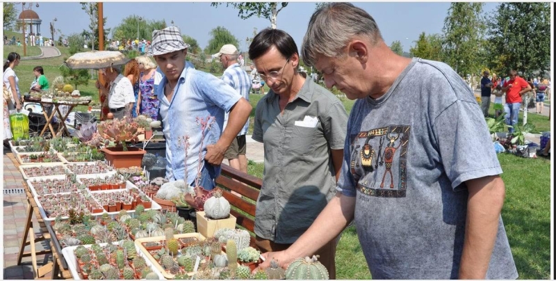 &laquo;Насамкінець вони ніби спеціально показали нам, що таке &laquo;русский мир&raquo;: історія доктора, який провів у російському полоні 7 років