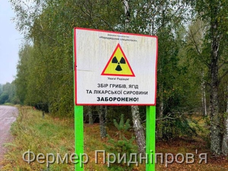 Незаконне використання земель, радіоактивно забруднених внаслідок аварії на ЧАЕС: підозрюються сільський голова, директори товариств та землевпорядник