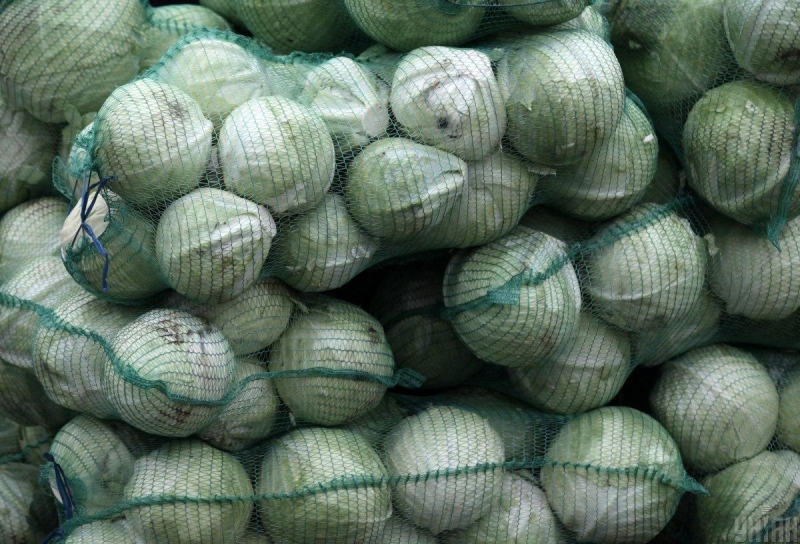 Ще один овоч стрімко дешевшає в Україні: ціна просіла вже на 20%