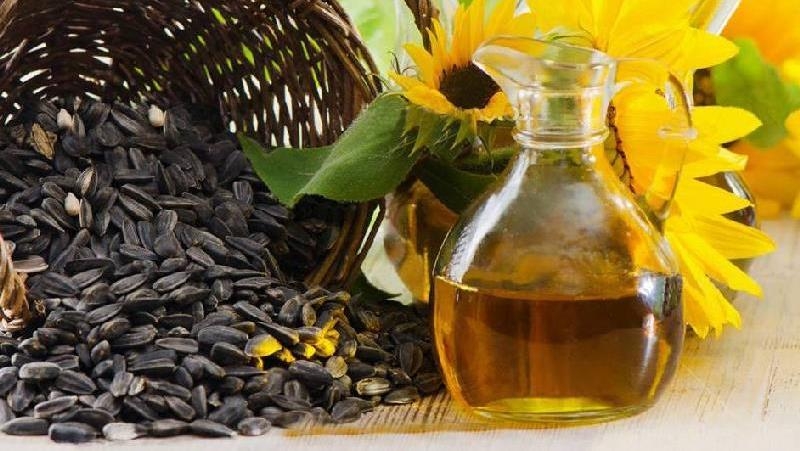 Соняшник переробники закуповують уже дорожче 25 тисяч гривень за тонну