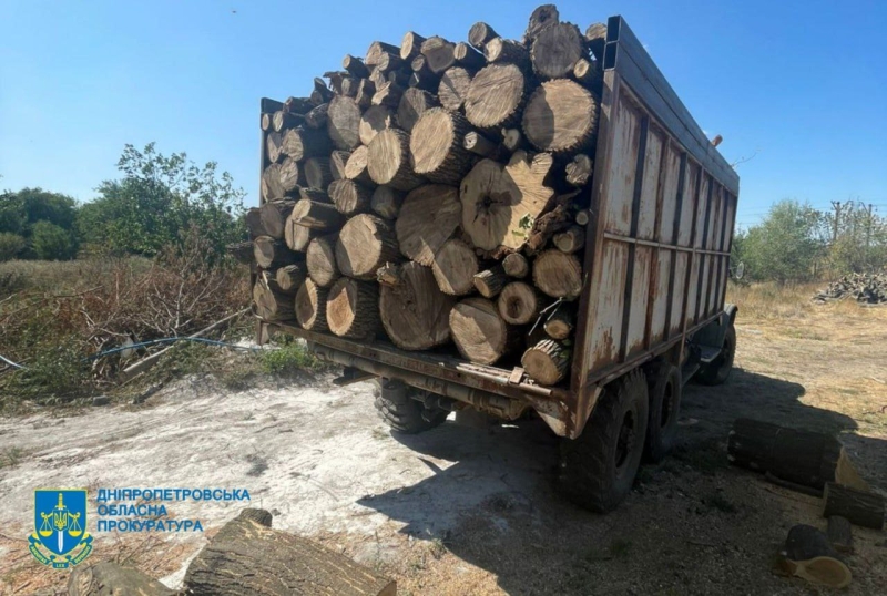 У Кам’янському районі викрили банду “чорних” лісорубів