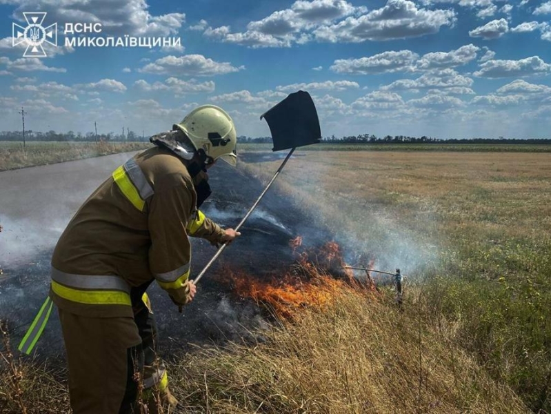 Вогняна доба: у лісах і селах Миколаївщини вигоріло понад 38 гектарів, - ФОТО