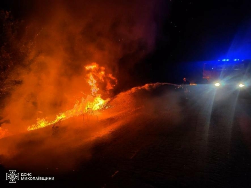 За добу на Миколаївщині сталося 36 пожеж: понад 22 гектари  вигоріло, - ФОТО